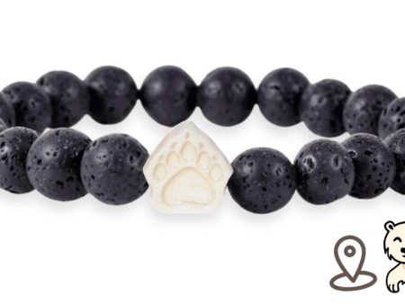 Polar Bear Tracking Bracelet Fashion