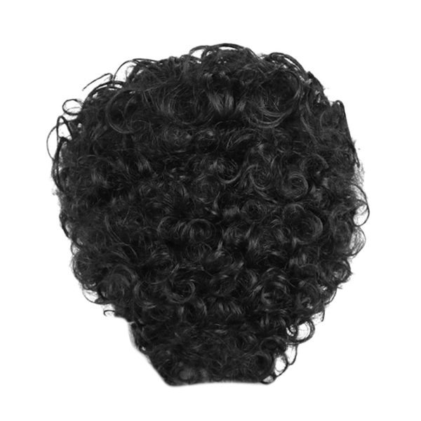 Max Natural Human Hair Women Afro Curly Wig Short Curling Wigs Cosplay Black on Sale